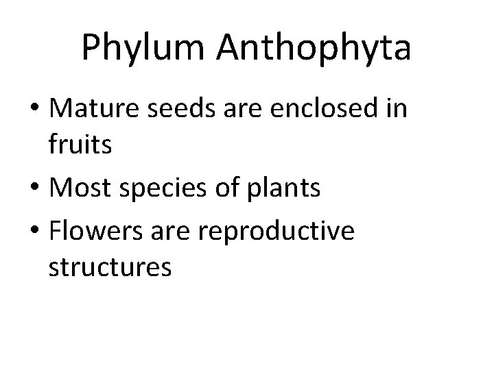 Phylum Anthophyta • Mature seeds are enclosed in fruits • Most species of plants