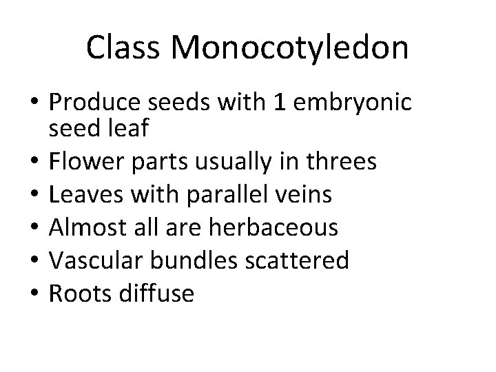 Class Monocotyledon • Produce seeds with 1 embryonic seed leaf • Flower parts usually
