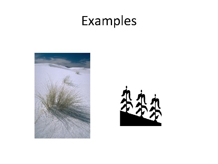 Examples 
