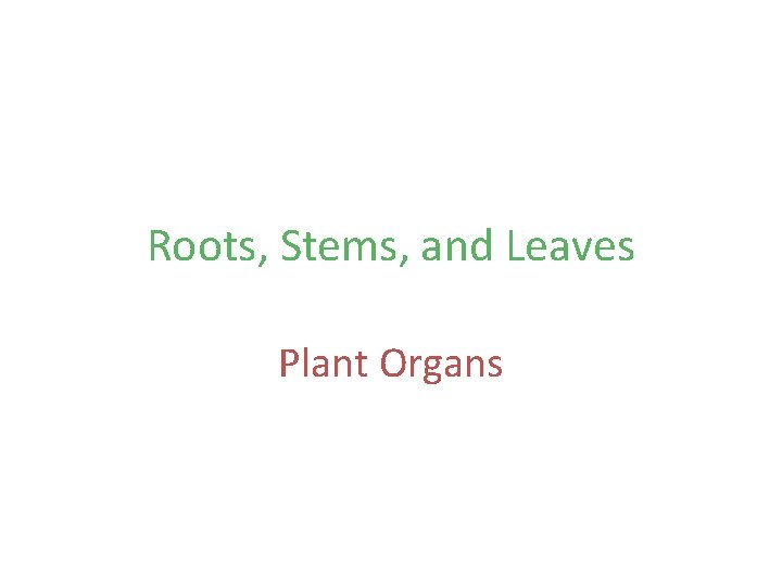 Roots, Stems, and Leaves Plant Organs 