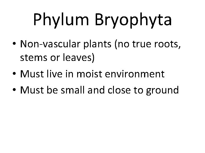 Phylum Bryophyta • Non-vascular plants (no true roots, stems or leaves) • Must live