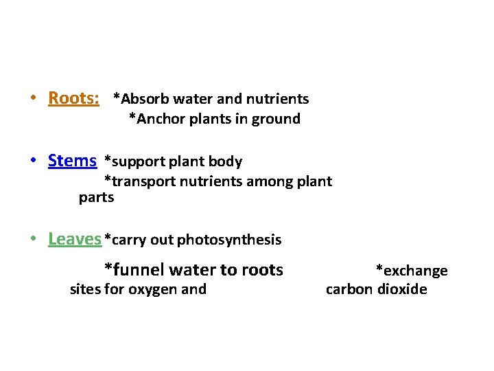  • Roots: *Absorb water and nutrients *Anchor plants in ground • Stems *support