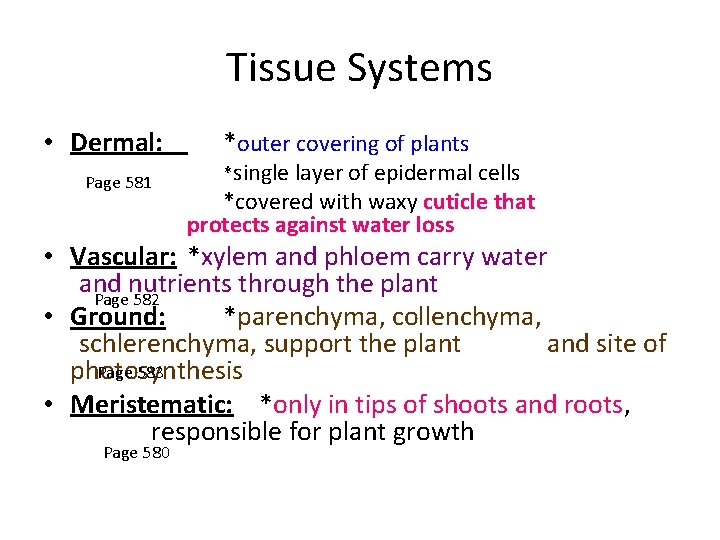 Tissue Systems • Dermal: Page 581 *outer covering of plants *single layer of epidermal