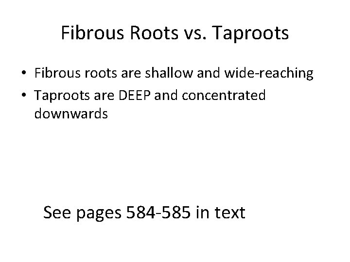 Fibrous Roots vs. Taproots • Fibrous roots are shallow and wide-reaching • Taproots are