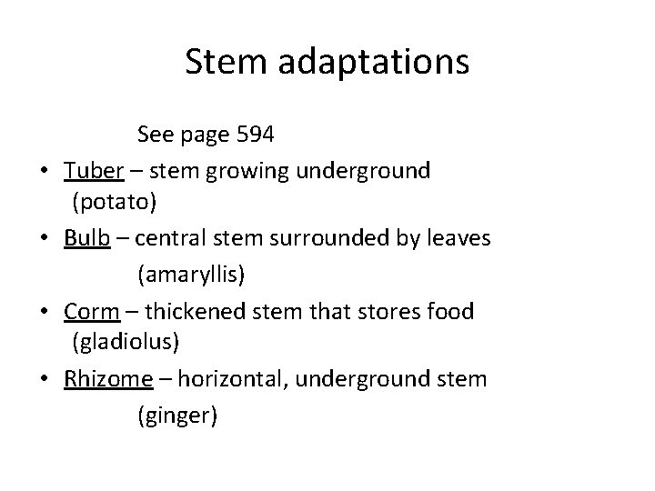 Stem adaptations • • See page 594 Tuber – stem growing underground (potato) Bulb