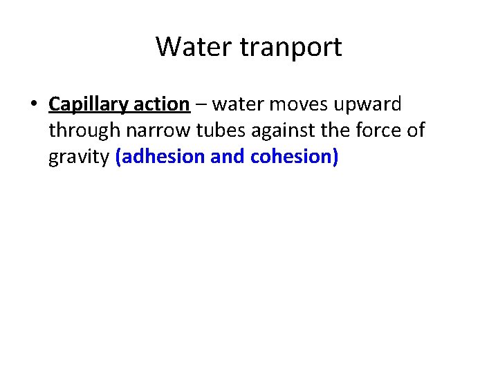 Water tranport • Capillary action – water moves upward through narrow tubes against the