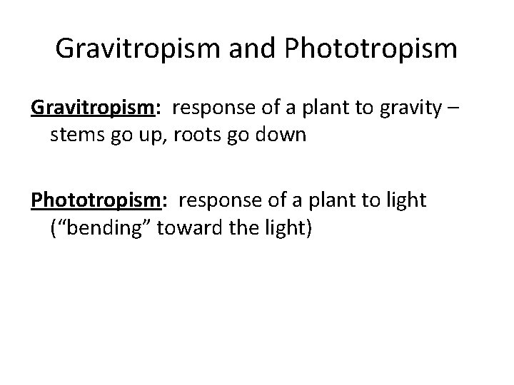 Gravitropism and Phototropism Gravitropism: response of a plant to gravity – stems go up,