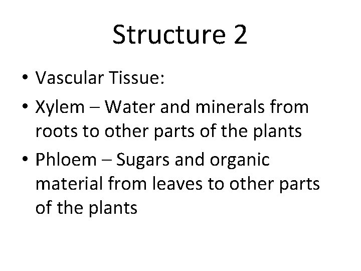 Structure 2 • Vascular Tissue: • Xylem – Water and minerals from roots to