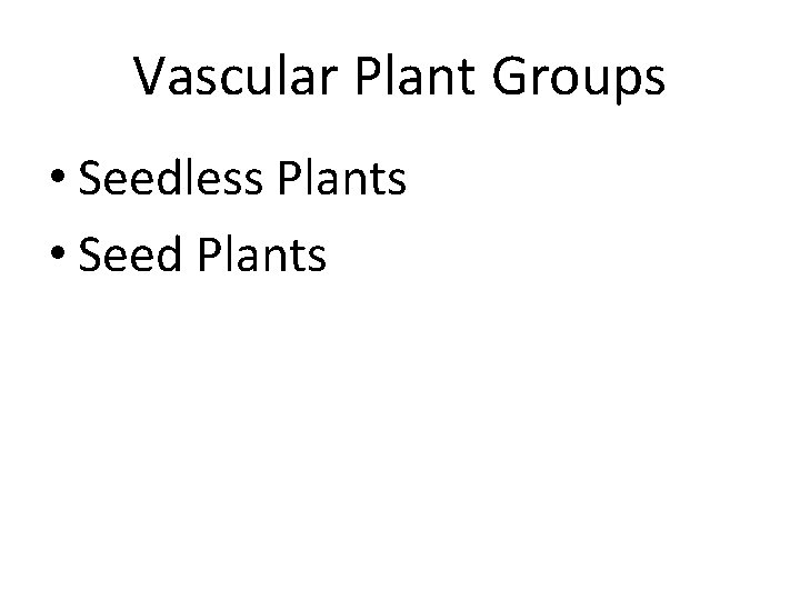 Vascular Plant Groups • Seedless Plants • Seed Plants 