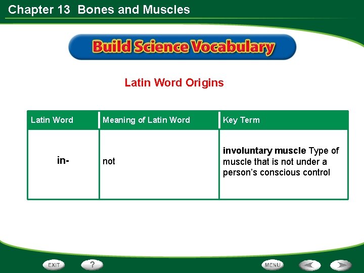 Chapter 13 Bones and Muscles Latin Word Origins Latin Word in- Meaning of Latin