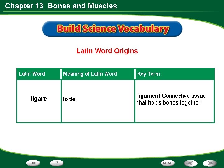 Chapter 13 Bones and Muscles Latin Word Origins Latin Word ligare Meaning of Latin