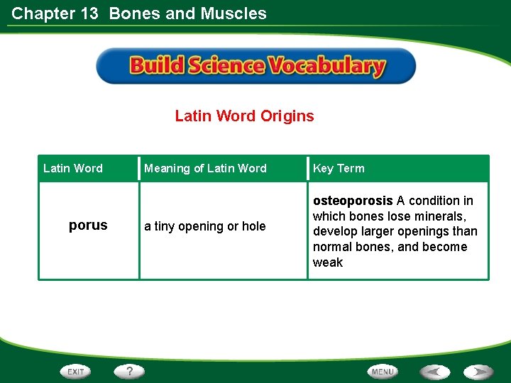 Chapter 13 Bones and Muscles Latin Word Origins Latin Word porus Meaning of Latin