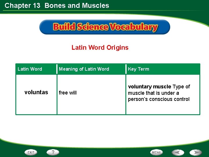 Chapter 13 Bones and Muscles Latin Word Origins Latin Word voluntas Meaning of Latin
