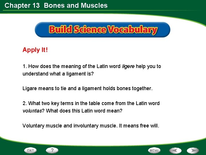 Chapter 13 Bones and Muscles Apply It! 1. How does the meaning of the