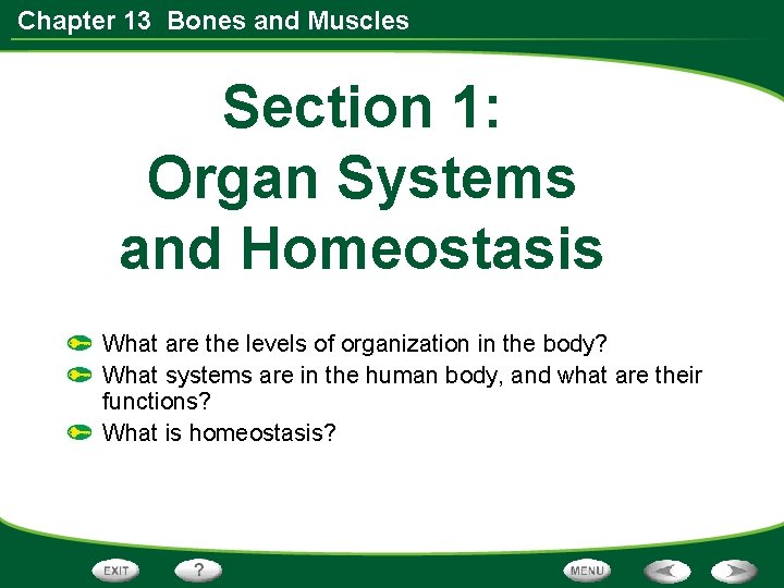 Chapter 13 Bones and Muscles Section 1: Organ Systems and Homeostasis What are the