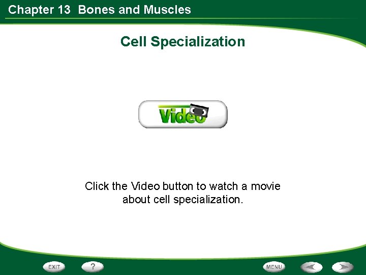 Chapter 13 Bones and Muscles Cell Specialization Click the Video button to watch a