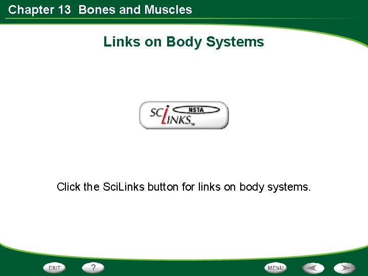 Chapter 13 Bones and Muscles Links on Body Systems Click the Sci. Links button