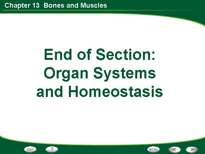 Chapter 13 Bones and Muscles End of Section: Organ Systems and Homeostasis 