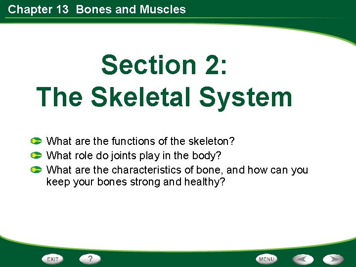 Chapter 13 Bones and Muscles Section 2: The Skeletal System What are the functions