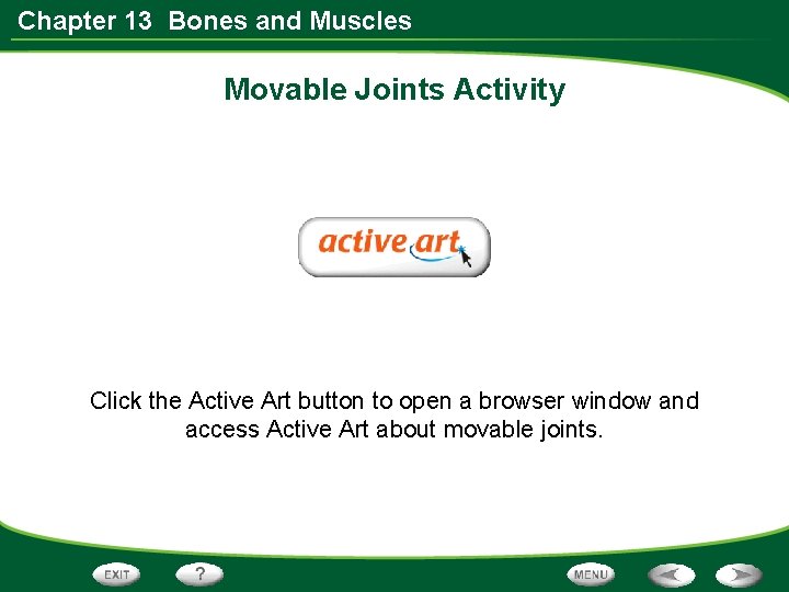 Chapter 13 Bones and Muscles Movable Joints Activity Click the Active Art button to
