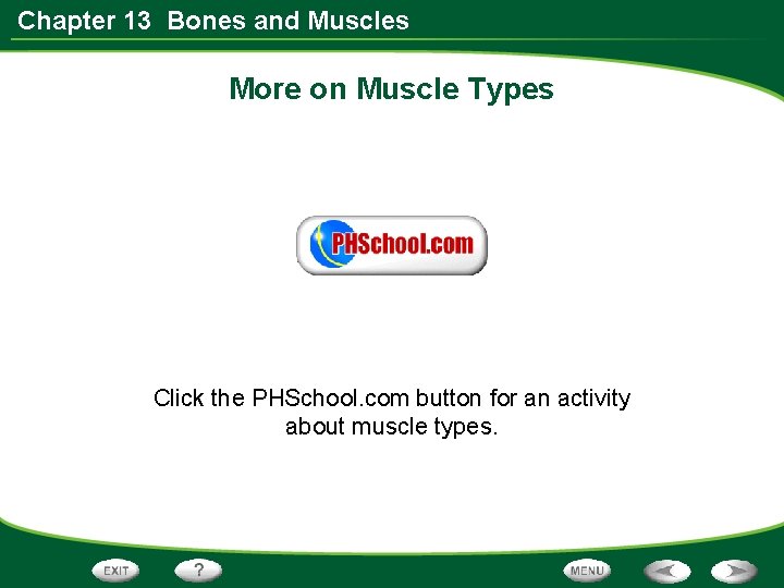 Chapter 13 Bones and Muscles More on Muscle Types Click the PHSchool. com button