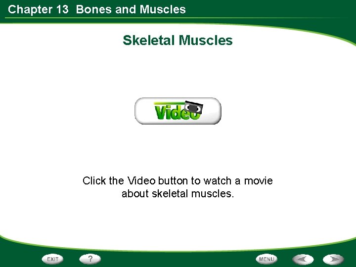 Chapter 13 Bones and Muscles Skeletal Muscles Click the Video button to watch a