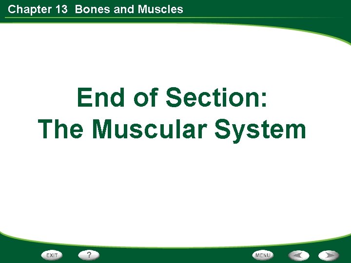 Chapter 13 Bones and Muscles End of Section: The Muscular System 
