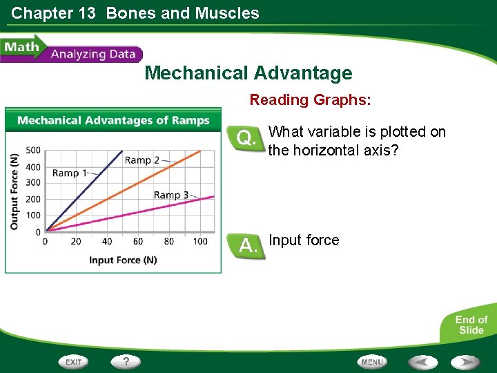 Chapter 13 Bones and Muscles Mechanical Advantage Reading Graphs: What variable is plotted on