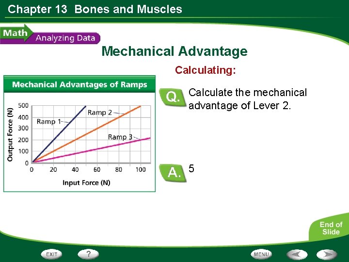 Chapter 13 Bones and Muscles Mechanical Advantage Calculating: Calculate the mechanical advantage of Lever