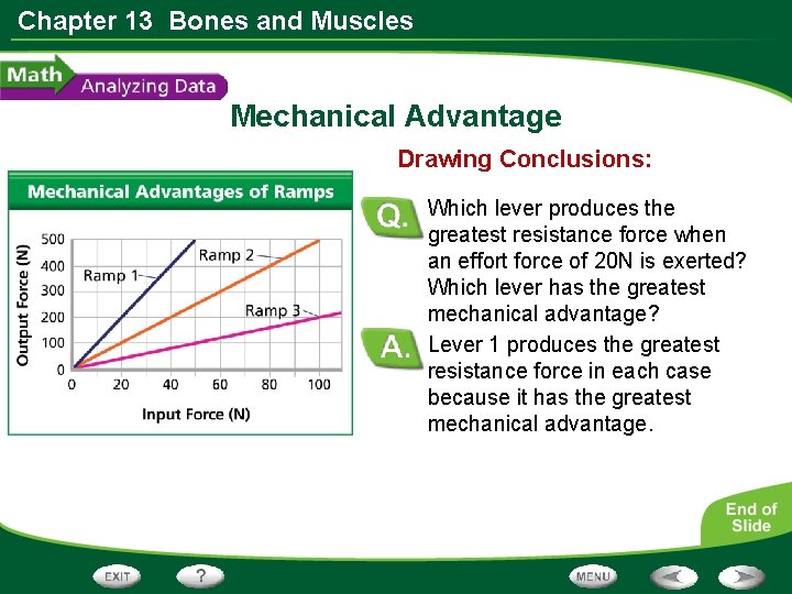 Chapter 13 Bones and Muscles Mechanical Advantage Drawing Conclusions: Which lever produces the greatest
