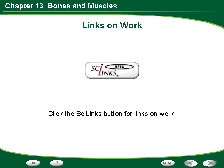 Chapter 13 Bones and Muscles Links on Work Click the Sci. Links button for
