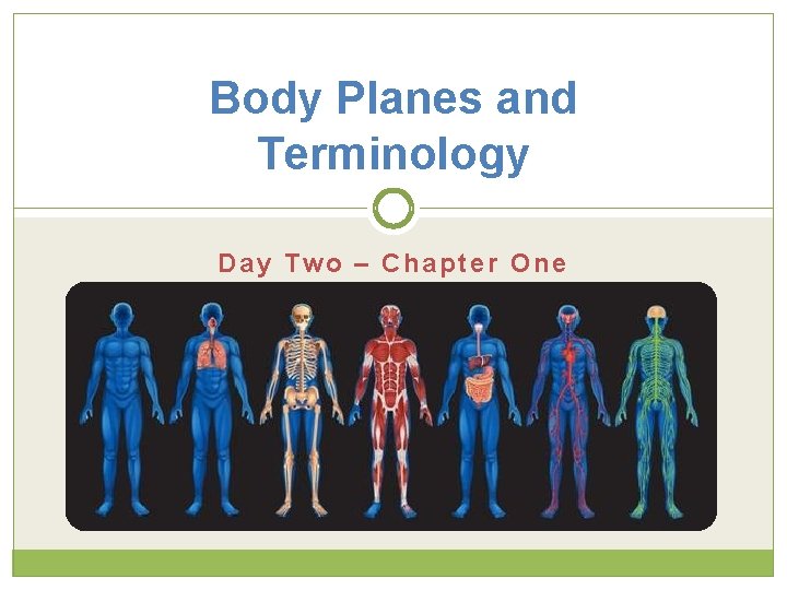 Body Planes and Terminology Day Two – Chapter One 