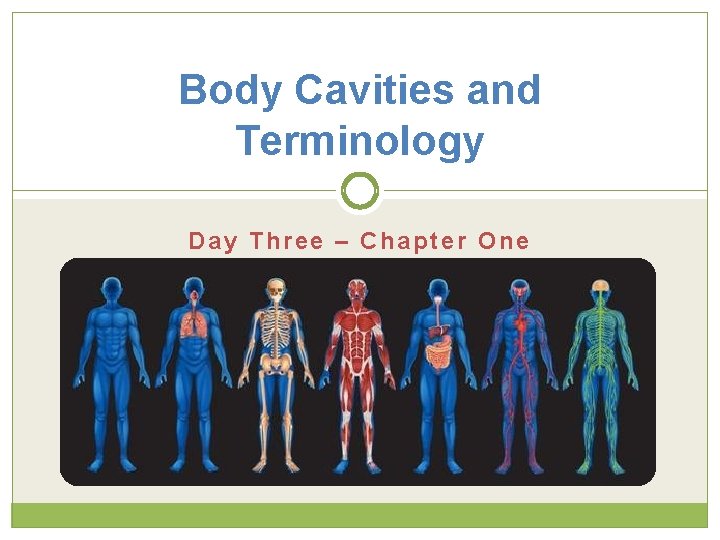 Body Cavities and Terminology Day Three – Chapter One 