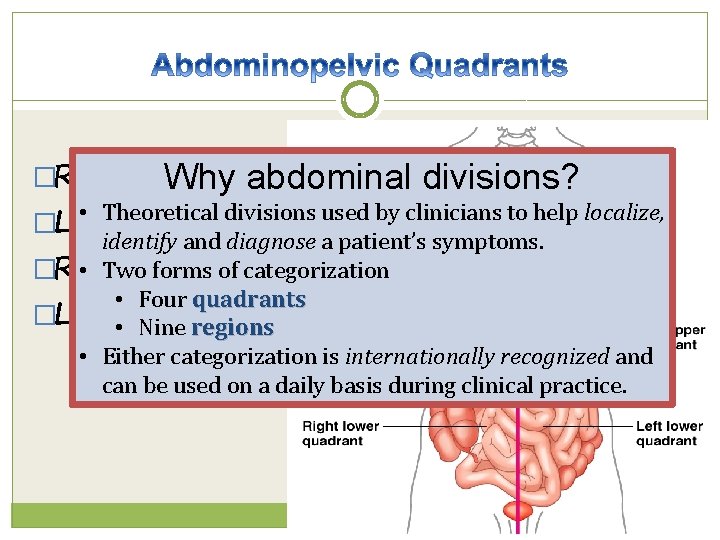 �Right upper Why abdominal divisions? • Theoretical divisions used by clinicians to help localize,