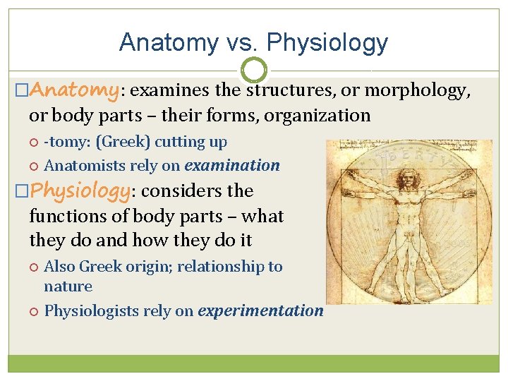 Anatomy vs. Physiology �Anatomy: examines the structures, or morphology, or body parts – their