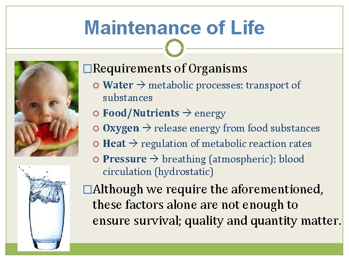 Maintenance of Life �Requirements of Organisms Water metabolic processes; transport of substances Food/Nutrients energy