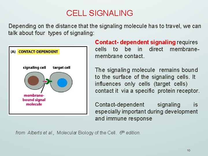 CELL SIGNALING Depending on the distance that the signaling molecule has to travel, we