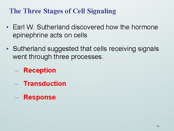 The Three Stages of Cell Signaling • Earl W. Sutherland discovered how the hormone