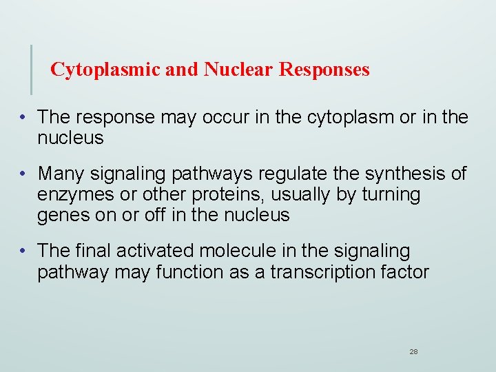 Cytoplasmic and Nuclear Responses • The response may occur in the cytoplasm or in