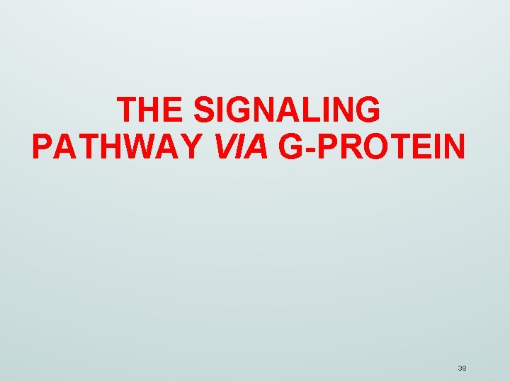THE SIGNALING PATHWAY VIA G-PROTEIN 38 