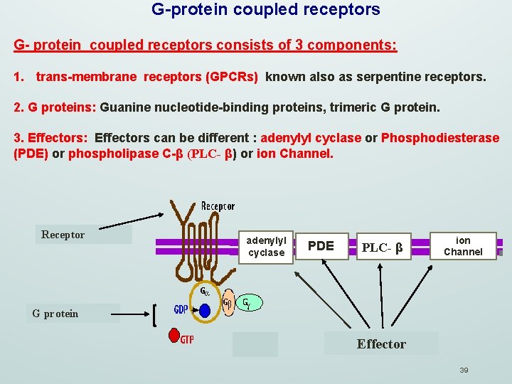 G-protein coupled receptors G- protein coupled receptors consists of 3 components: 1. trans-membrane receptors