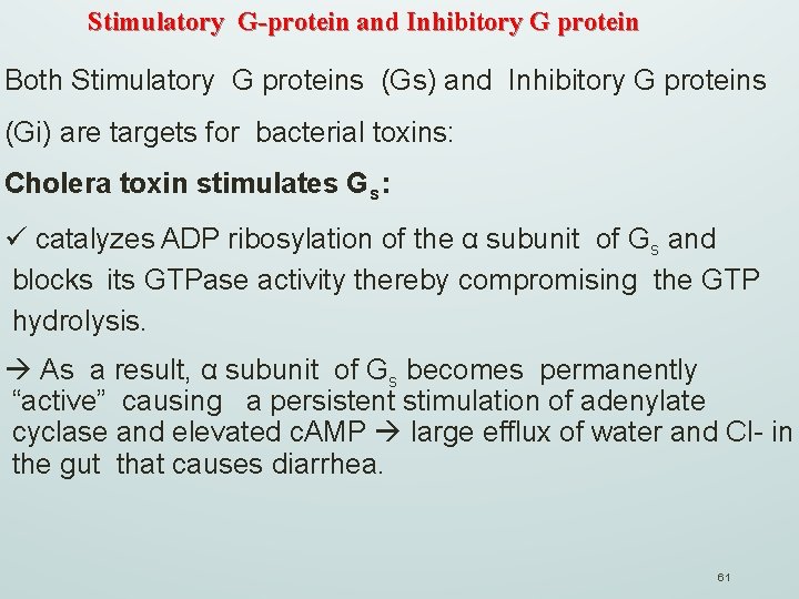 Stimulatory G-protein and Inhibitory G protein Both Stimulatory G proteins (Gs) and Inhibitory G