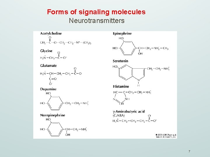 Forms of signaling molecules Neurotransmitters 7 