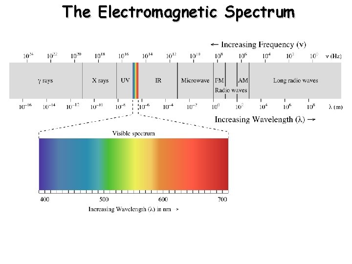 The Electromagnetic Spectrum 