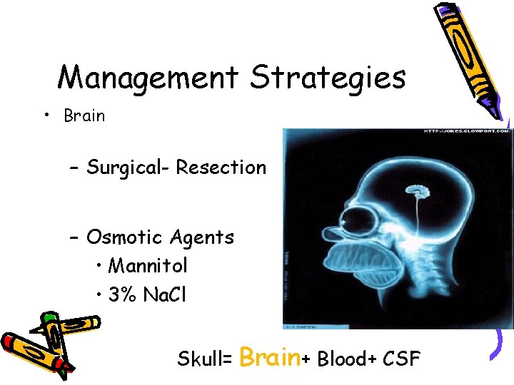 Management Strategies • Brain – Surgical- Resection – Osmotic Agents • Mannitol • 3%