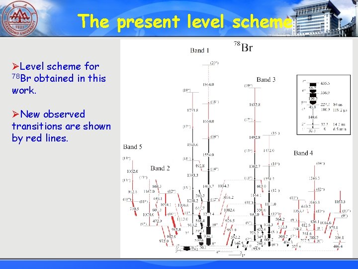 The present level scheme ØLevel scheme for 78 Br obtained in this work. ØNew