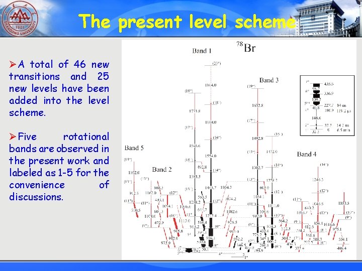 The present level scheme ØA total of 46 new transitions and 25 new levels