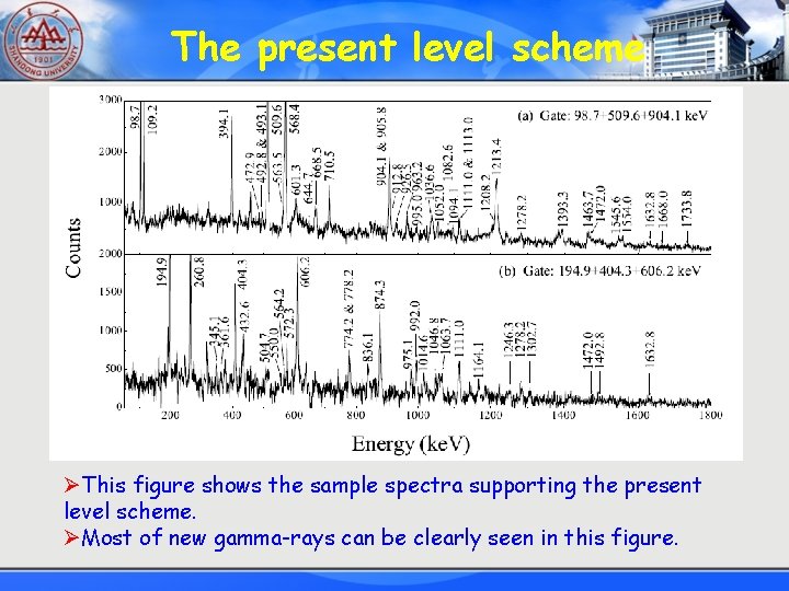 The present level scheme preliminary ØThis figure shows the sample spectra supporting the present