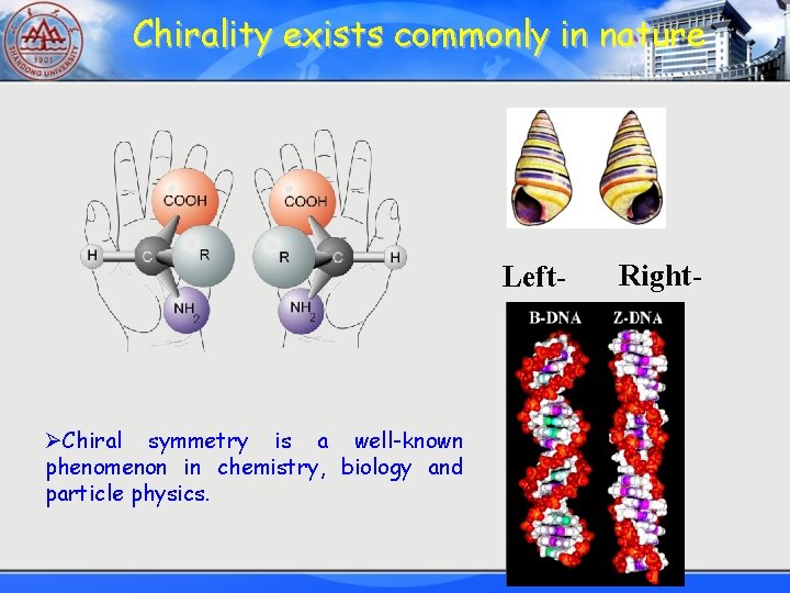 Chirality exists commonly in nature Left- ØChiral symmetry is a well-known phenomenon in chemistry,