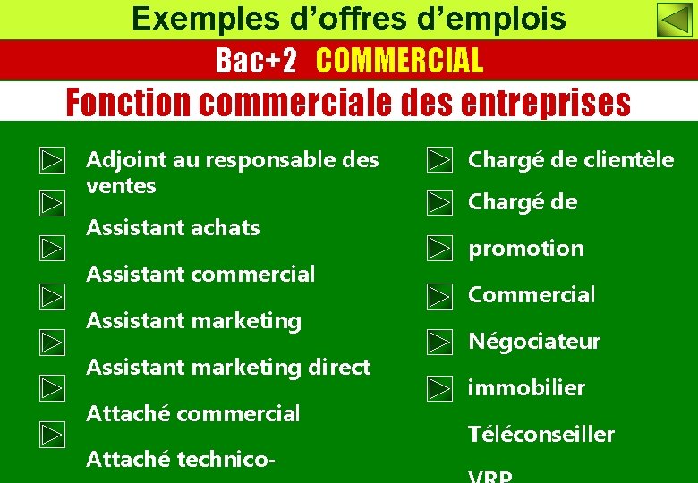 Exemples d’offres d’emplois Bac+2 COMMERCIAL Fonction commerciale des entreprises Adjoint au responsable des ventes Exemples d’offres d’emplois Bac+2 COMMERCIAL Fonction commerciale des entreprises Adjoint au responsable des ventes